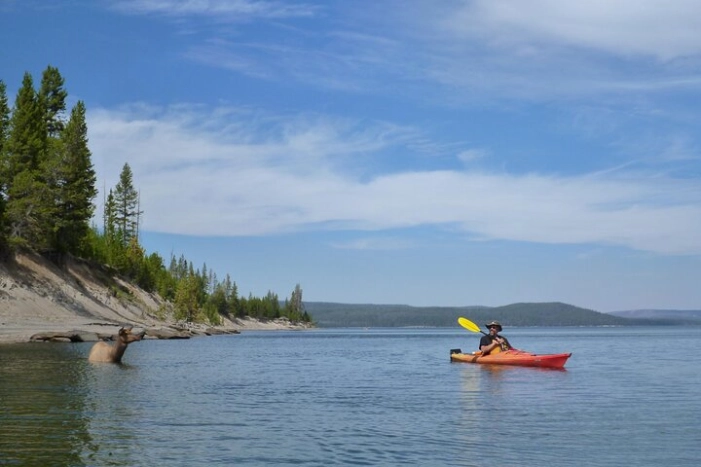 Image 8