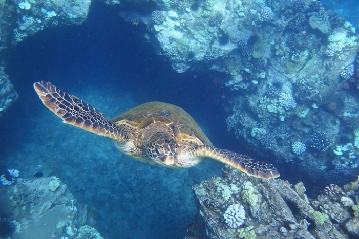Image 17