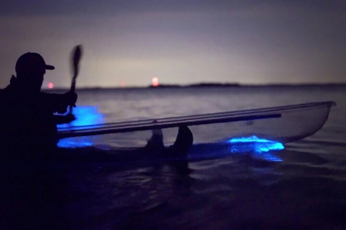 Clear Kayak Bioluminescence Tour - Cocoa Beach