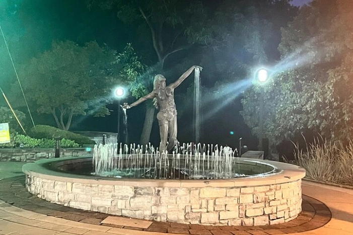 Image 4
