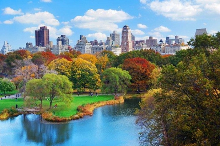 Private Walking Tour of New York City for Groups 