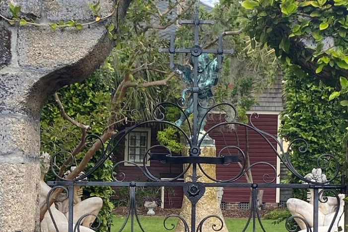 Image 7