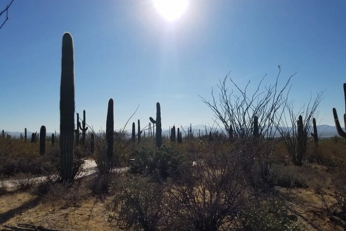 Image 6