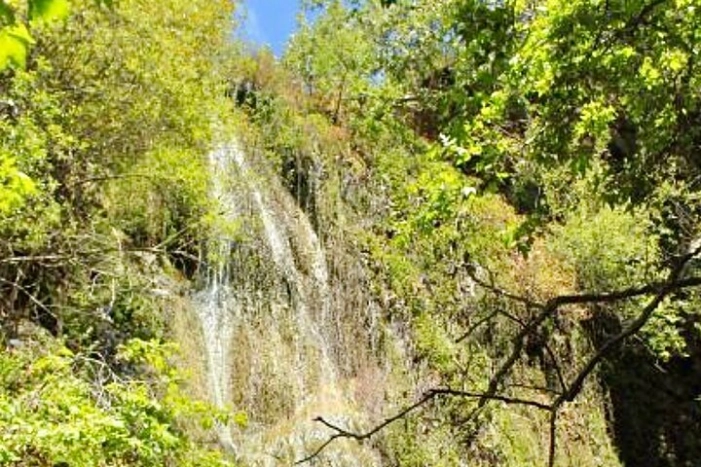 Image 10