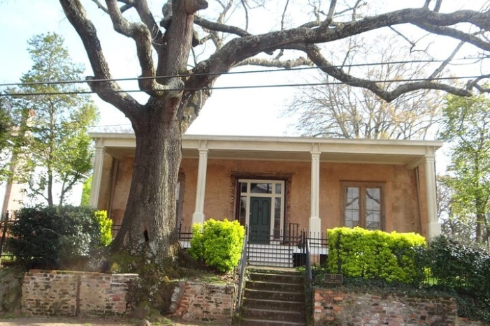 Image 4